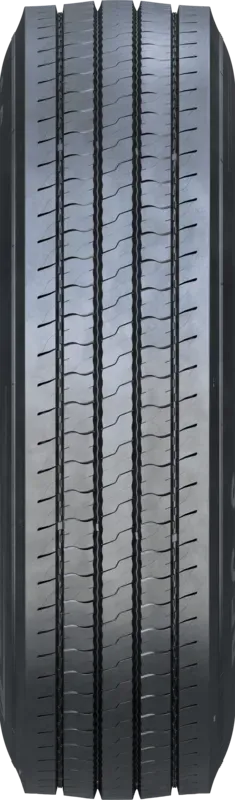 FORZA REG S